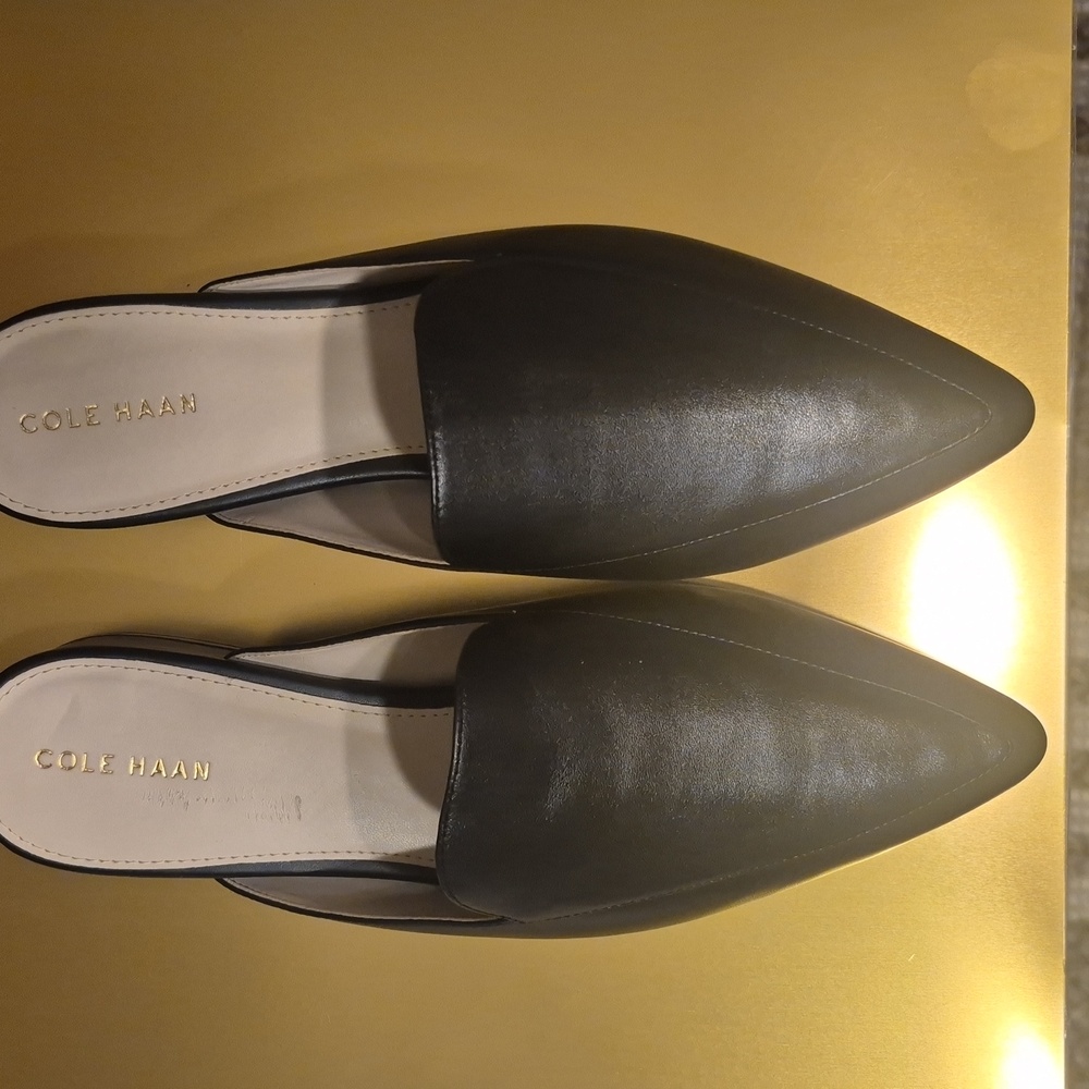 Cole Haan Piper Leather Pointed-Toe Mule